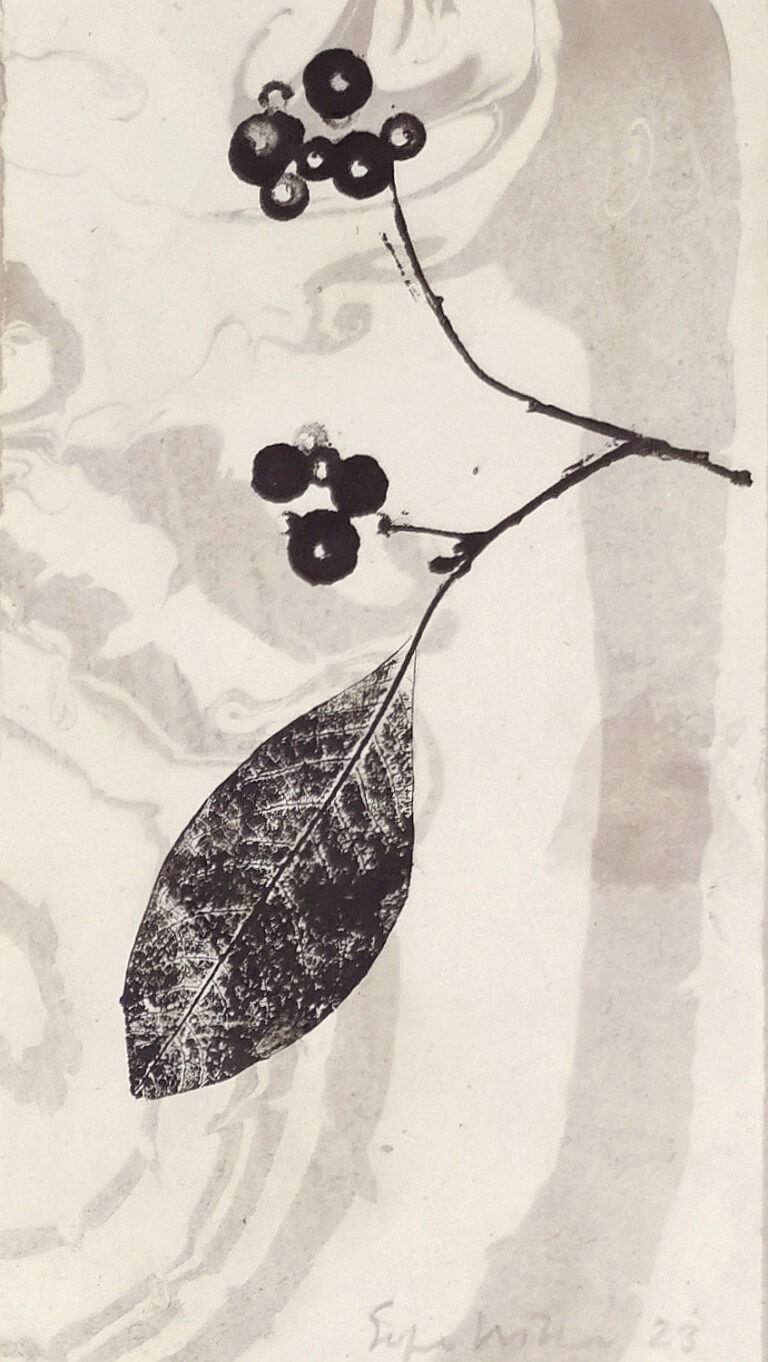 Uniikki grafiikan vedos marmoroidulle paperille. Oksa, jossa lehti ja marjoja.