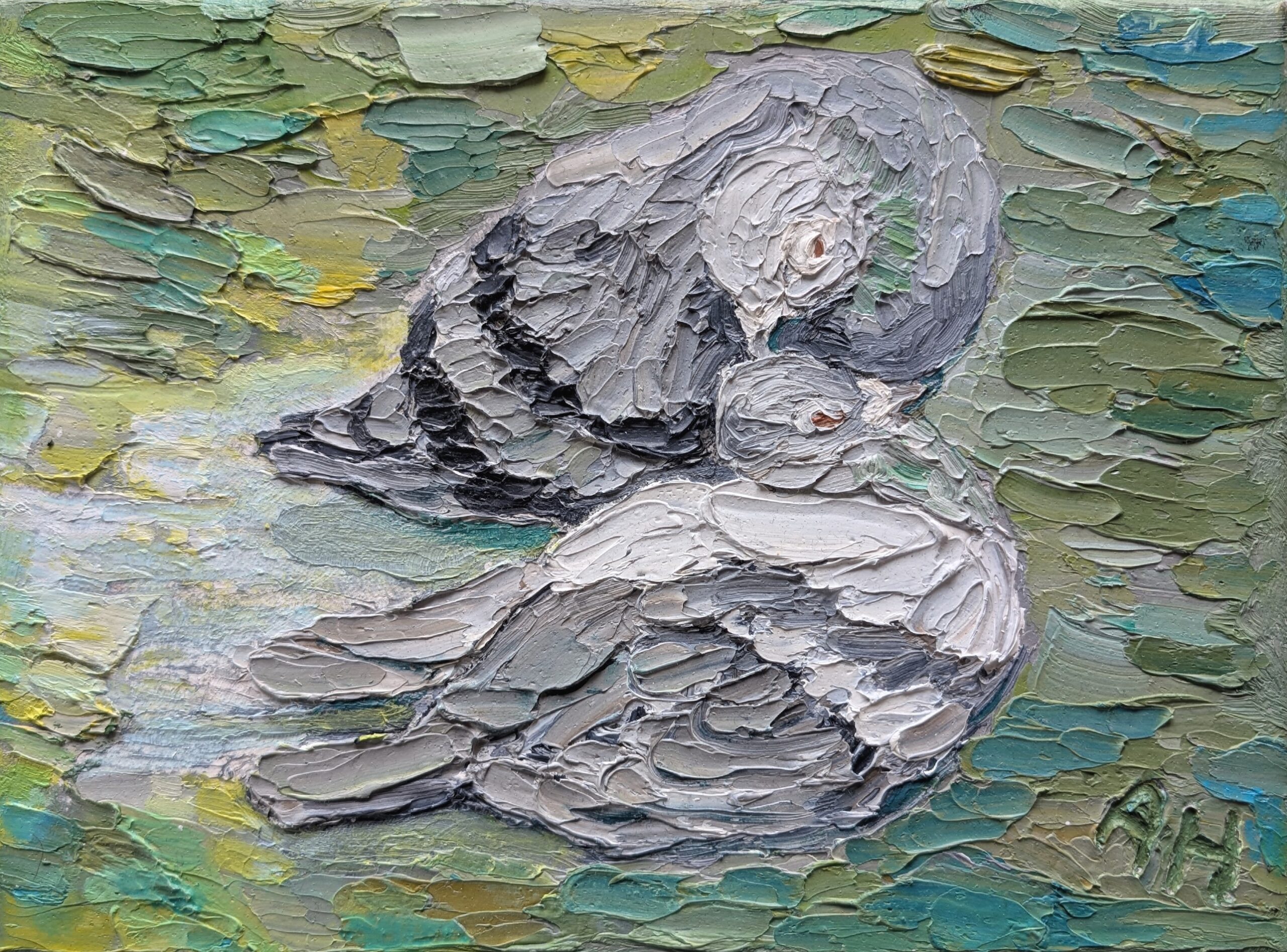 Kaksi kyyhkyä sukivat toisiaan.