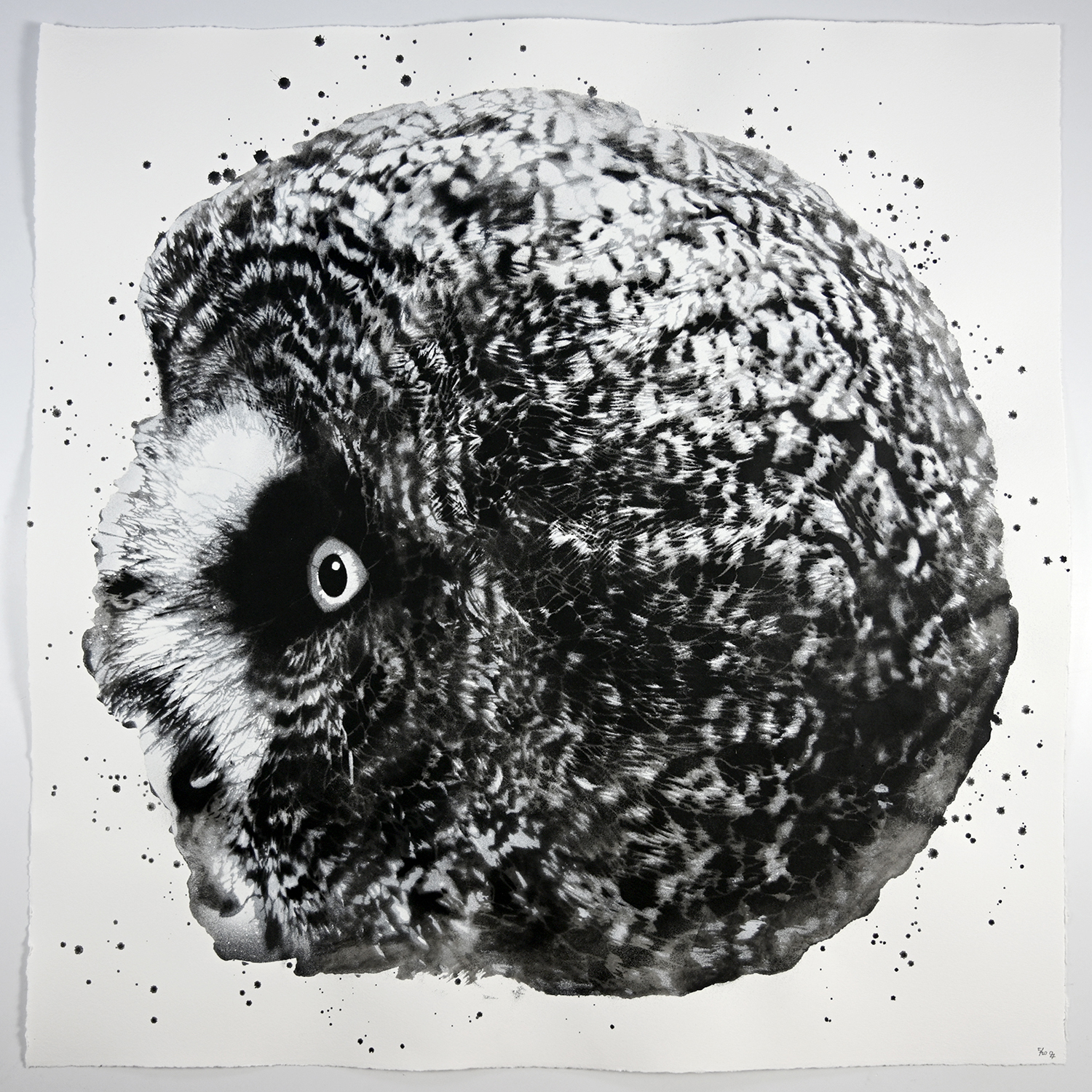 Jussi TwoSevenin sekatekniikalla tehty sprayteos musta valkoinen kuva lapinpöllöstä sivuprofiilista
