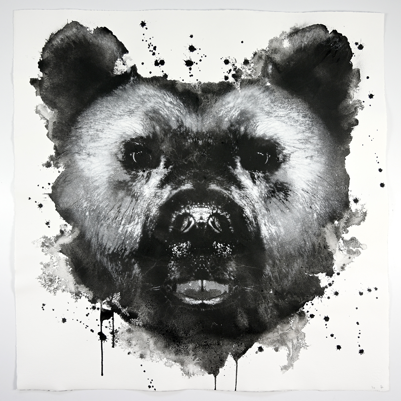 Jussi TwoSevenin sekatekniikalla tehty sprayteos musta valkoinen kuva karhusta