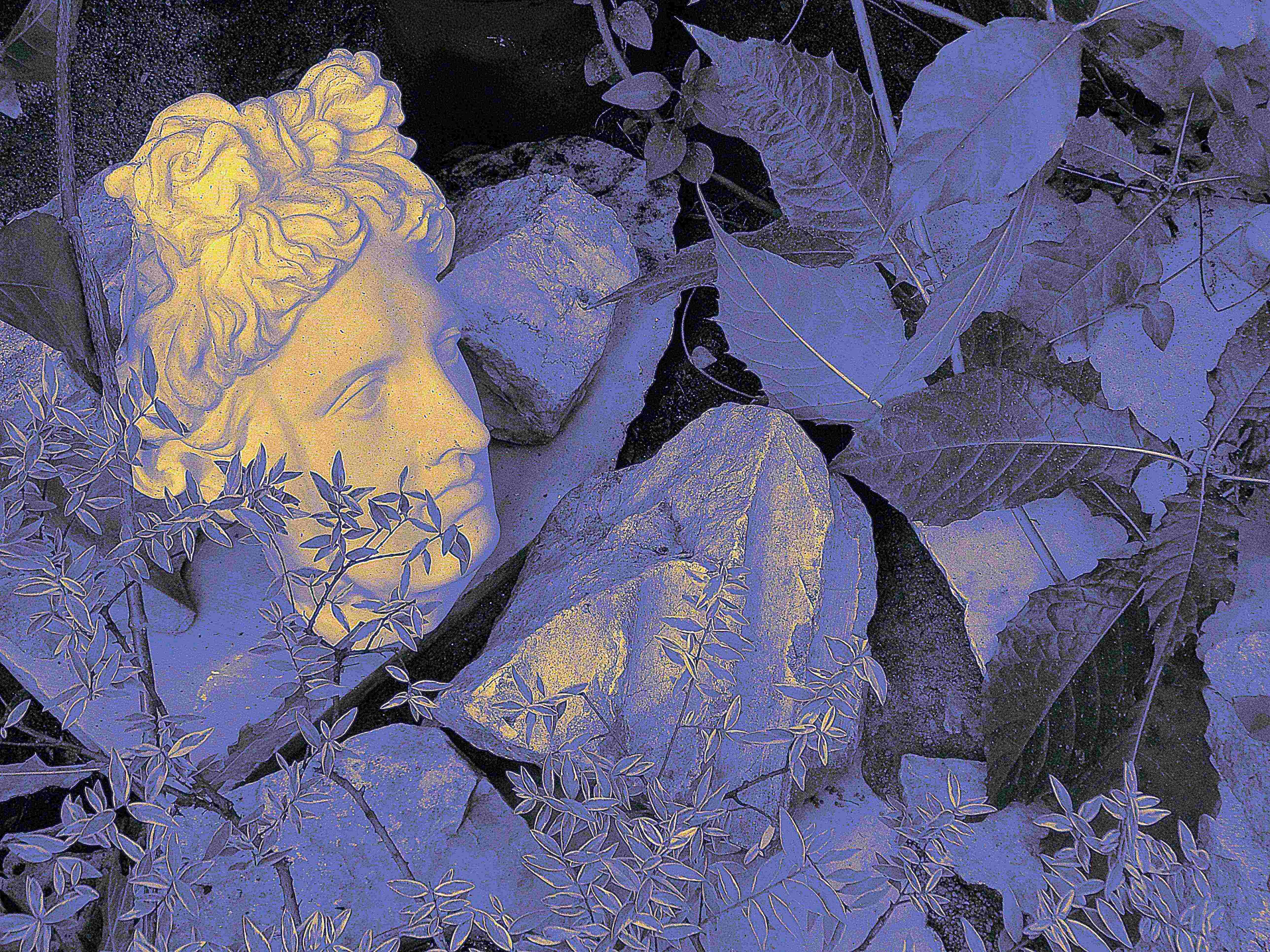 Mauri Olavi Keinäsen valokuvateos, jossa patsas lehtien keskellä