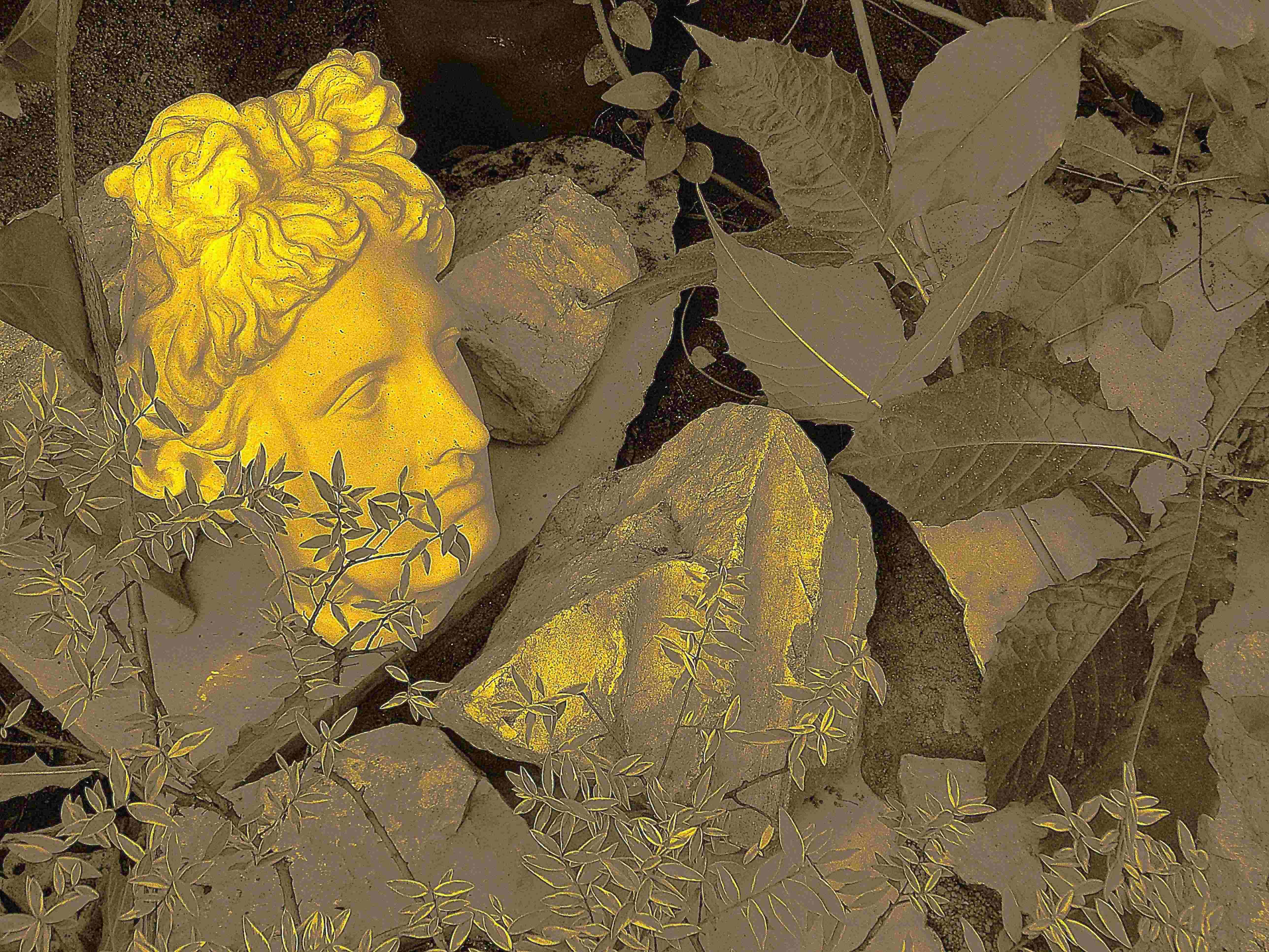 Mauri Olavi Keinäsen valokuvateos, jossa patsas lehtien keskellä